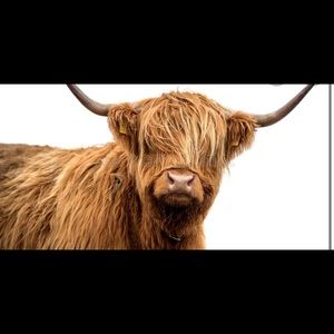 Meet your Posher, Zoey